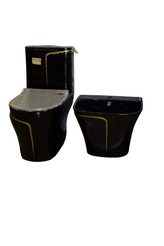 One Piece Toilet & Wall Hang Basin